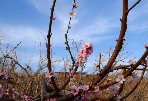 1708256547837789.png image.png