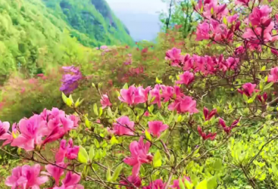 ​九月你好唯美经典说说（精选推荐）