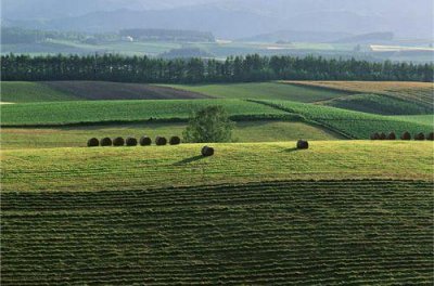 ​国庆节唯美文案大全 庆祝2026国庆节文案句子(精选78句)