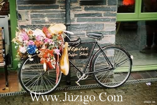 描写谷雨的优美短句