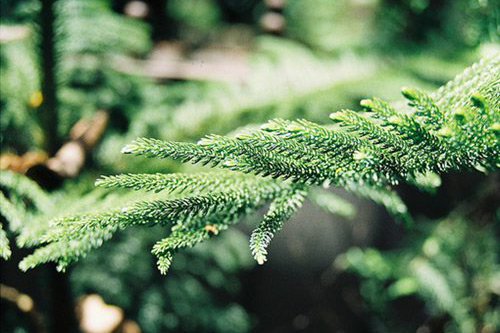 幽默形容熬夜的句子 劝别人不要熬夜的幽默句子(精选50句)