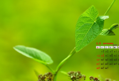 ​2026快手伤感句子短句-53句