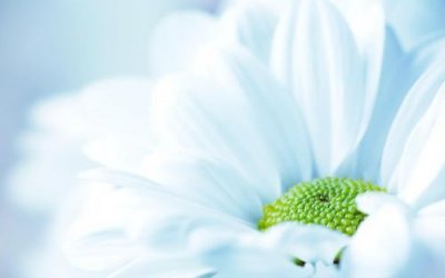 ​2026年晚安唯美句子41句