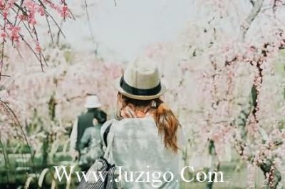 ​今日处暑早安说说大全(处暑节气发朋友圈的文案)