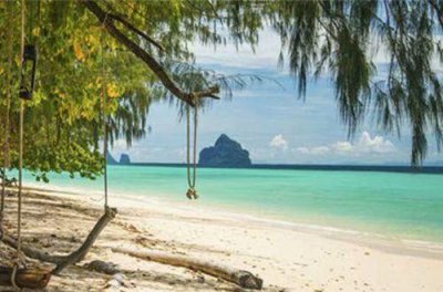 ​朋友圈秋天的第一杯奶茶文案(精选62条)